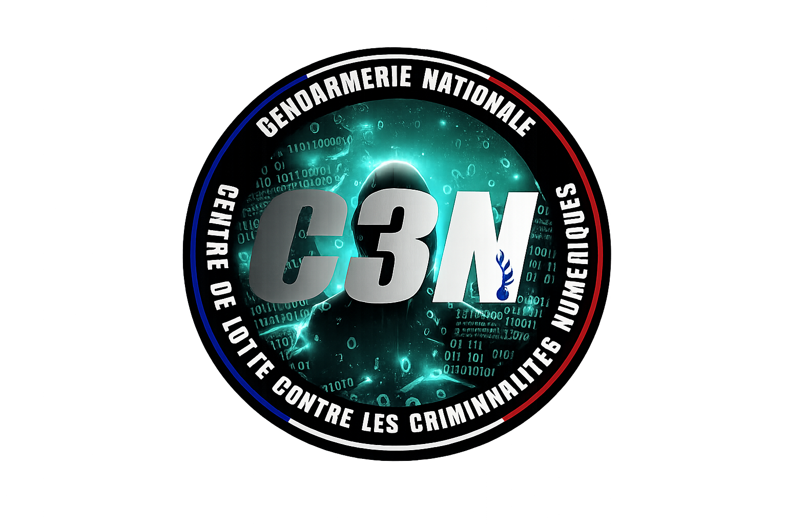 Image du logo de la C3N